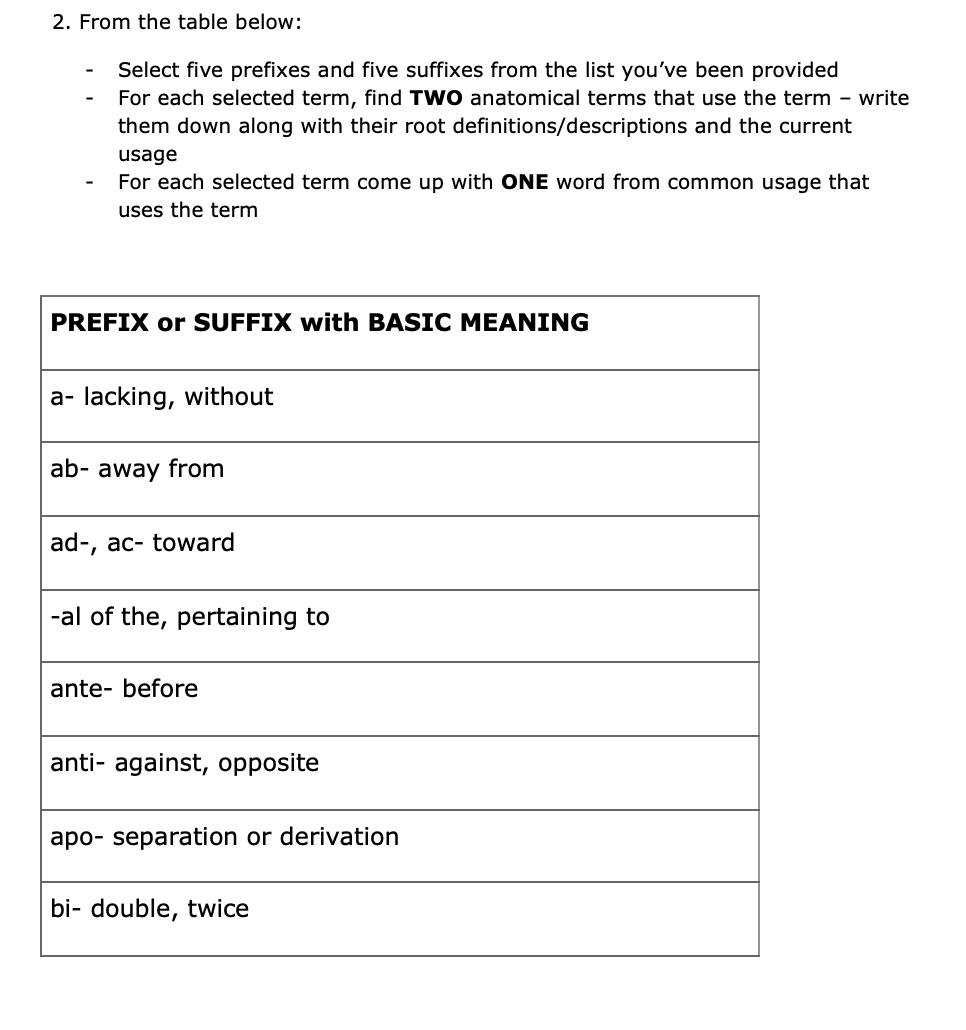 Which Suffixes Can Be Used To Make A Term Into An Adjective Identify At Least Five Suffixes