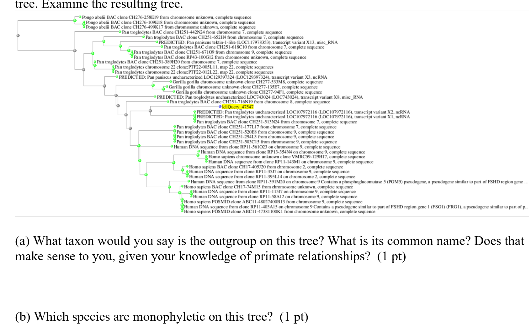 Answer (a) ﻿and (b) ﻿according To Phylogeny Tree | Chegg.com