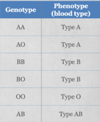 Solved Lily Has Type A Blood And Her Sister Tiffany Has Type 