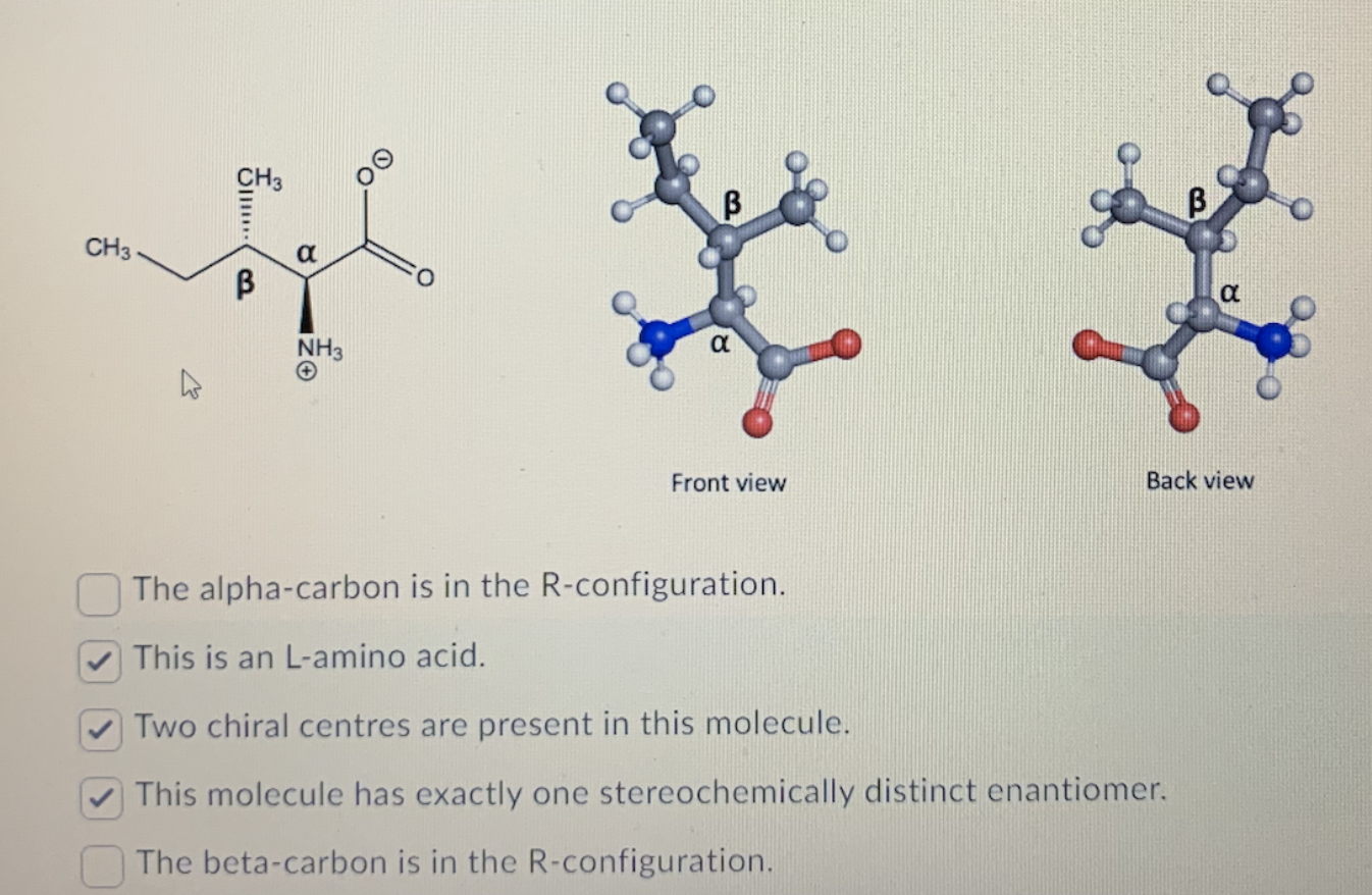 Solved The alpha-carbon is in the R-configuration. This is | Chegg.com