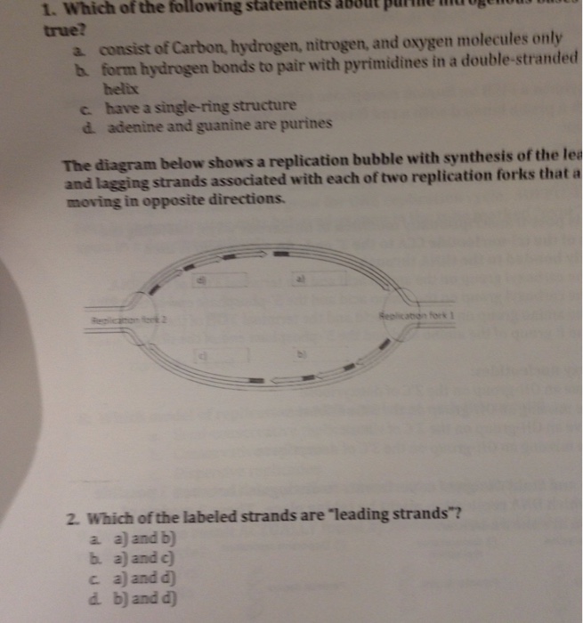 Solved The diagram below shows a replication bubble with | Chegg.com