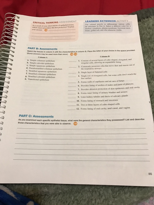 Solved NG EXTENSION SSESSMENT CRITICAL THINKING A Use Chegg