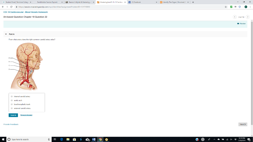Solved ← → С 숱 https/ 《Ch 18 CardiovascularBlood vessels