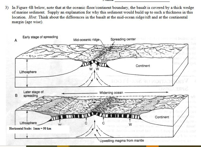 Solved Supply an explanation for why this sediment would | Chegg.com