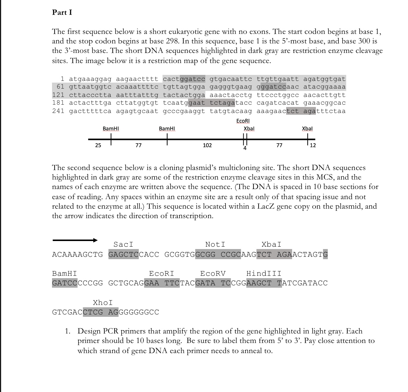 Solved The first sequence below is a short eukaryotic gene | Chegg.com