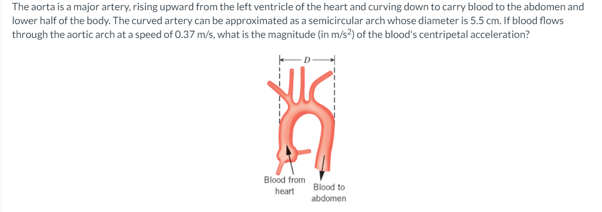 Solved The aorta is a major artery, rising upward from the | Chegg.com