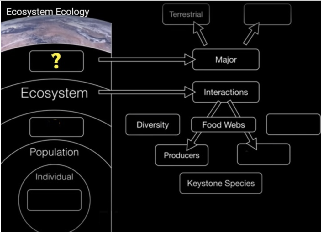 solved-ecosystem-ecology-terrestrial-major-ecosystem-chegg