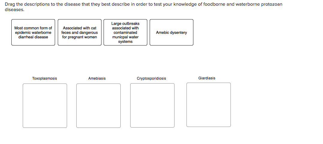 solved-drag-the-descriptions-to-the-disease-that-they-best-chegg