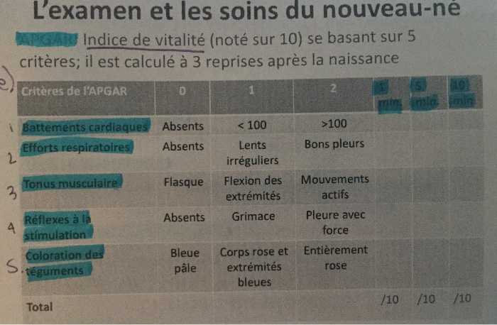 Medecine 2 Obstetrique Part 2 Flashcards Chegg Com