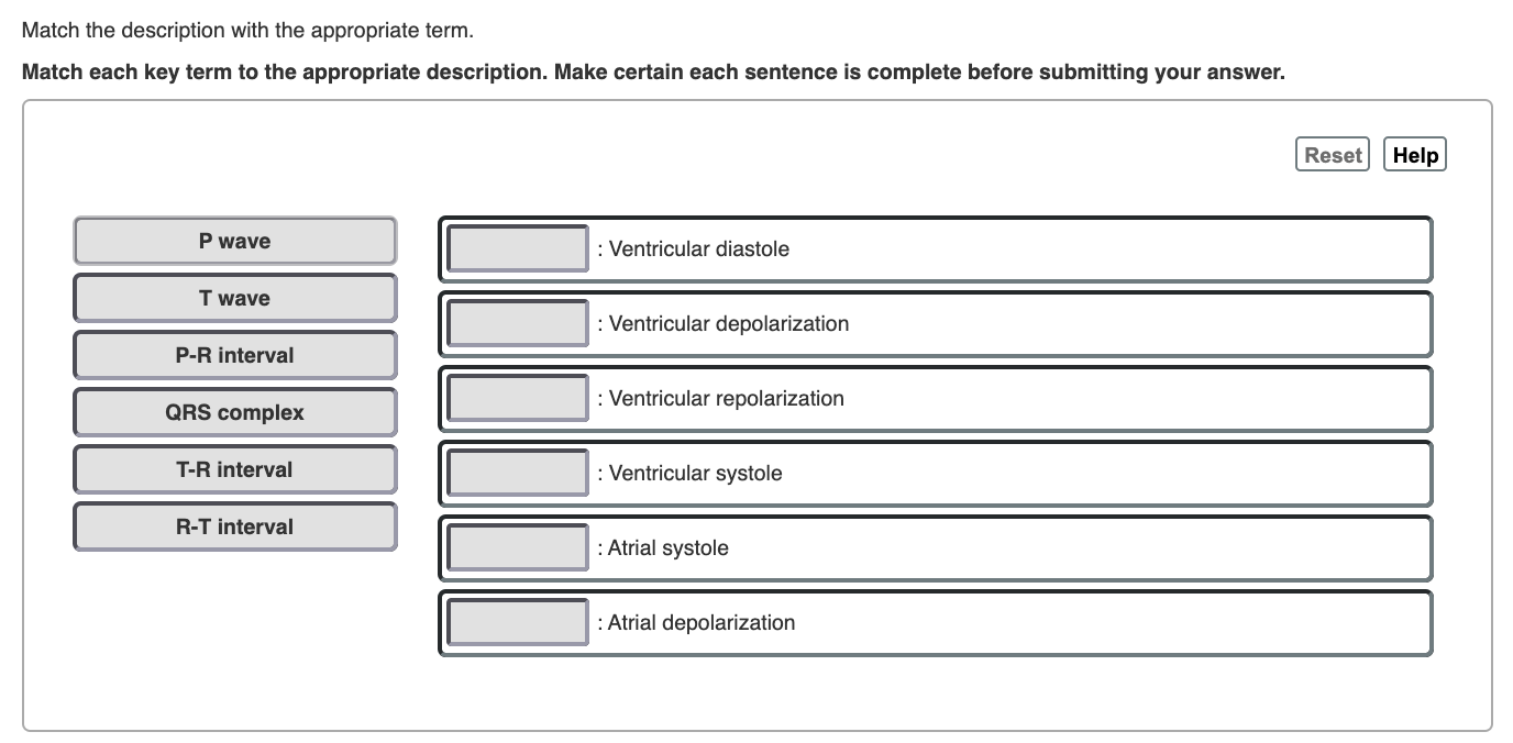 solved-match-the-description-with-the-appropriate-term-chegg