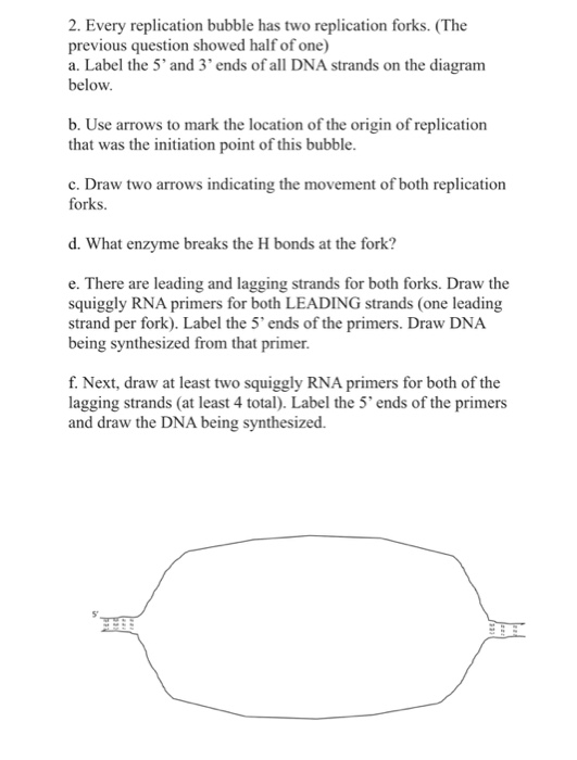 Solved 2. Every replication bubble has two replication | Chegg.com