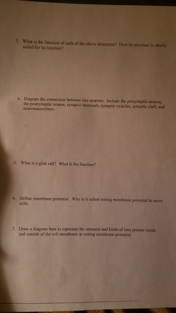 3. What is the function of each of the above | Chegg.com