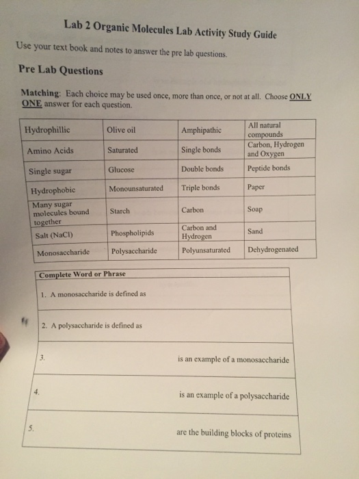 Solved Lab 2 organic Molecules Lab Activity Study Guide Use