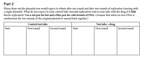 Solved Name: I DNA Replication Activity Background You are | Chegg.com