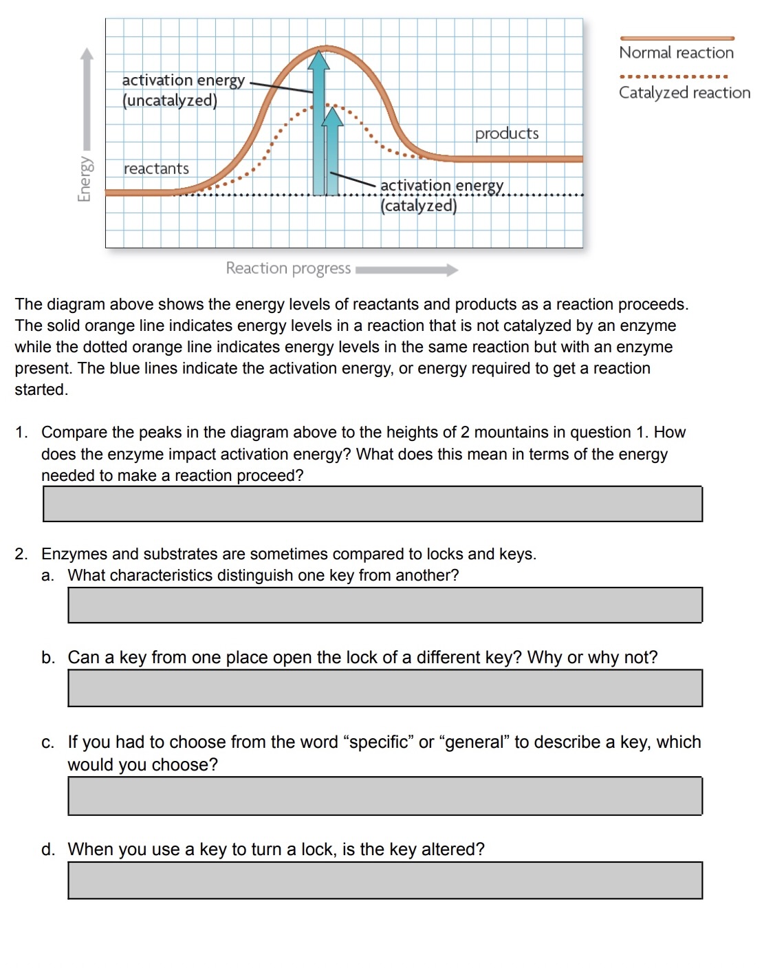 Solved The diagram above shows the energy levels of | Chegg.com
