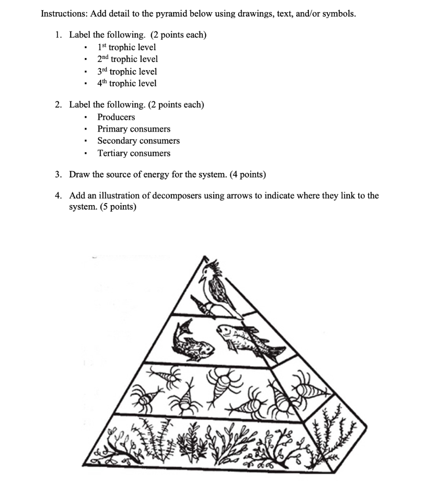 Solved Instructions: Add detail to the pyramid below using | Chegg.com