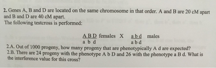 Solved 2. Genes A, B and D are located on the same | Chegg.com