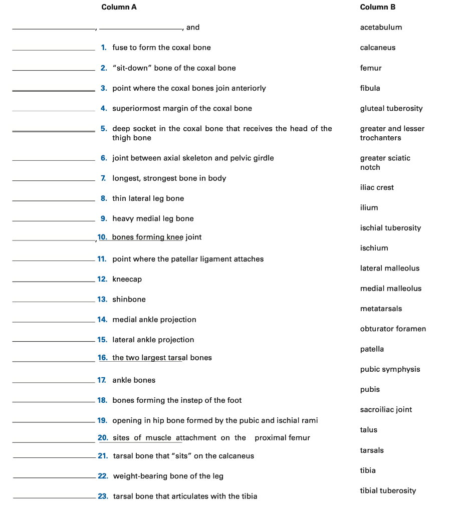 Column A Column B And Acetabulum 1 Fuse To Form The Chegg Com