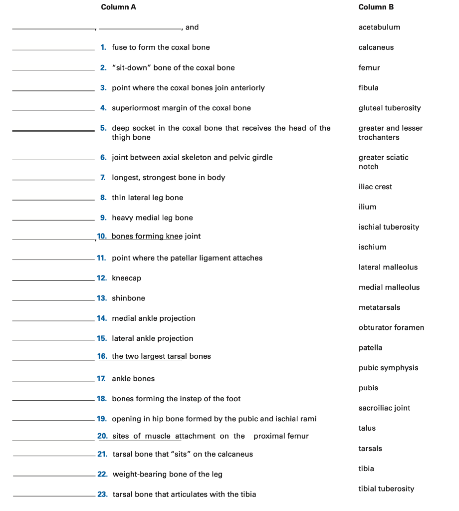 Solved Column A Column B and acetabulum 1. fuse to form the | Chegg.com