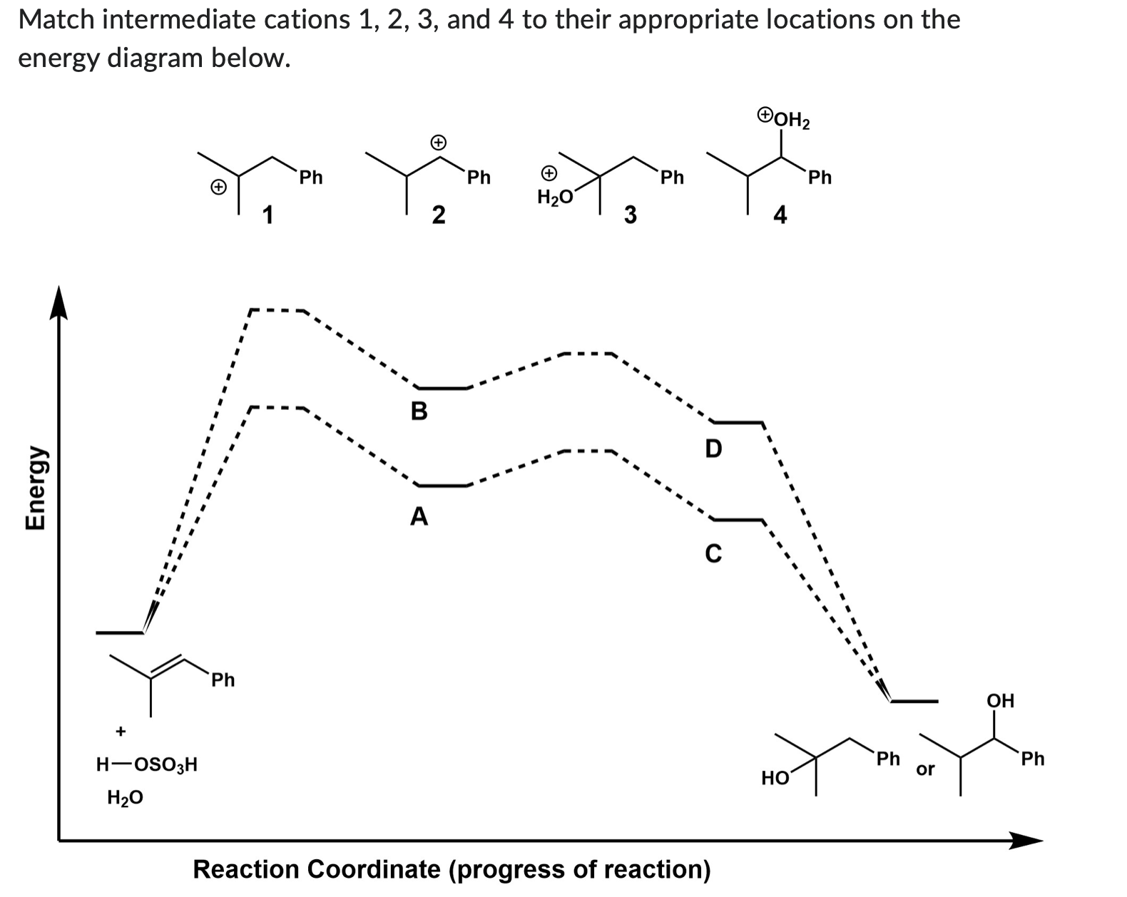 Solved Match intermediate cations 1,2,3, and 4 to their | Chegg.com
