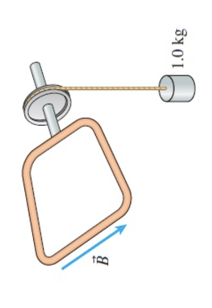 Solved The coil of the electric motor shown in (Figure 1) | Chegg.com