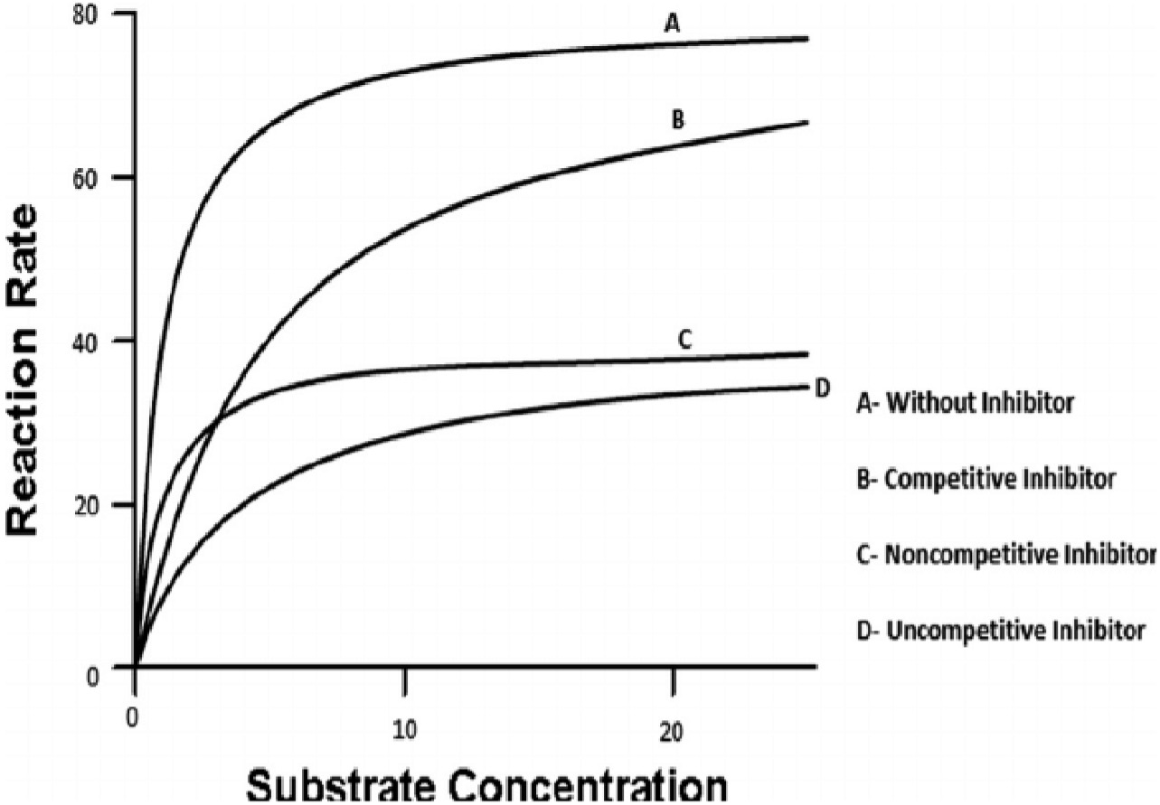 Solved Use the graph that compares enzyme reaction rates | Chegg.com