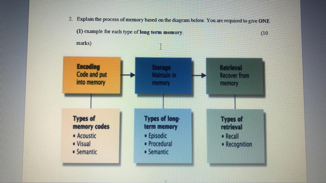 Solved Explain the process of memory based on the diagram | Chegg.com