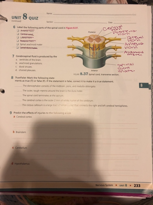 Anatomy And Physiology Archive December 04, 2018