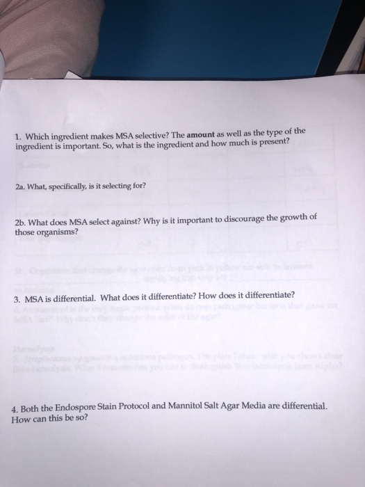 Solved 1. Which ingredient makes MSA selective? The amount