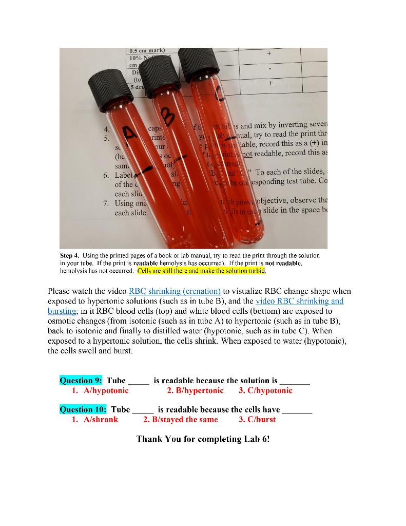 Solved SUMMER BIOLOGY 181 Lab 6: Cell Transport | Chegg.com