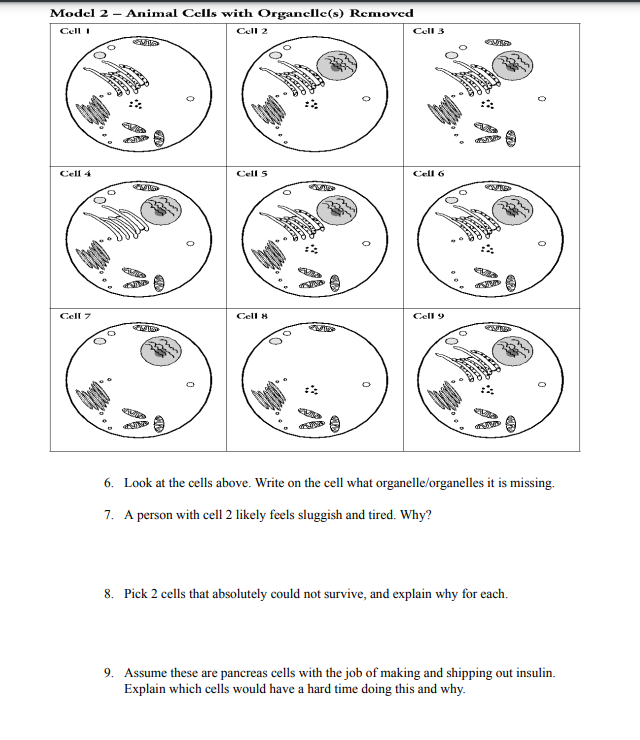 Solved Terms to Know: - Cell - Plant Cell - Prokaryotic - | Chegg.com