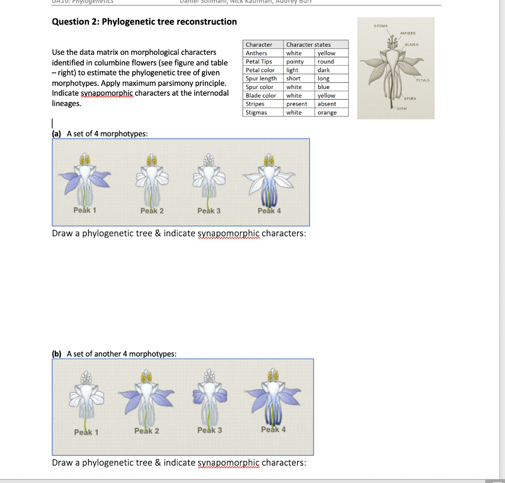 Question 2: Phylogenetic tree reconstruction: Use the | Chegg.com