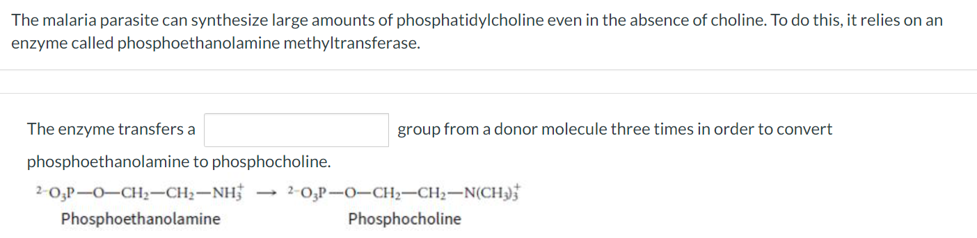 Solved The Malaria Parasite Can Synthesize Large Amounts Of | Chegg.com