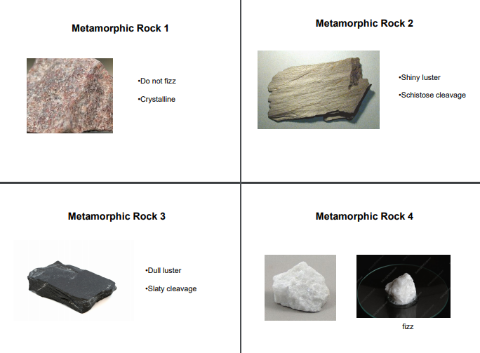 Solved Sample Minerals Texture Possible Type of metamorphism