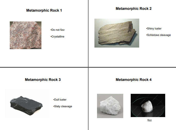 Solved Sample Minerals Texture Possible Type of metamorphism | Chegg.com