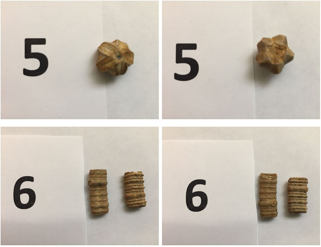 Solved ANSWER THE QUESTIONS RELATING TO EACH SAMPLE. SAMPLE | Chegg.com