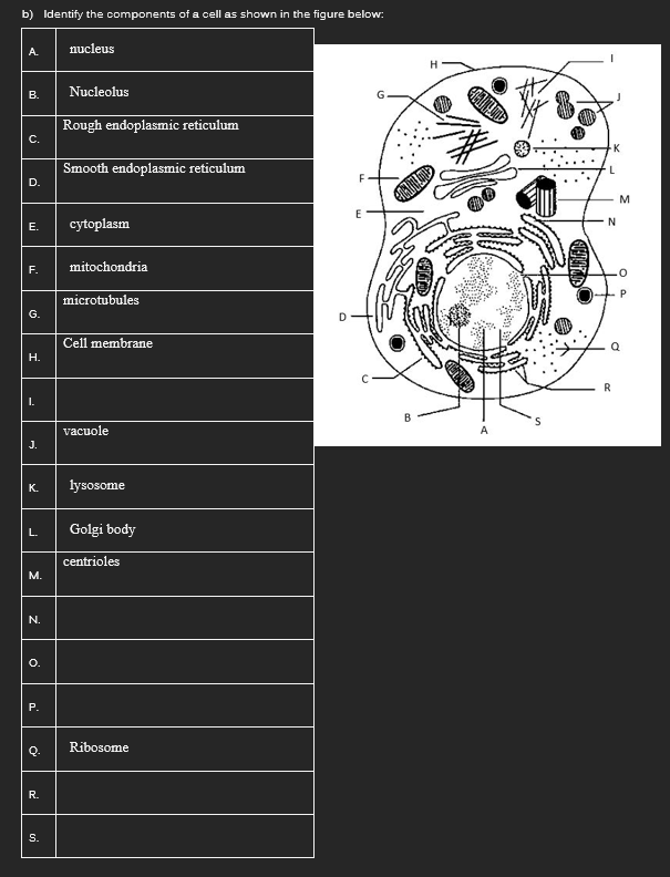 Solved B) Identify The Components Of A Cell As Shown In The | Chegg.com