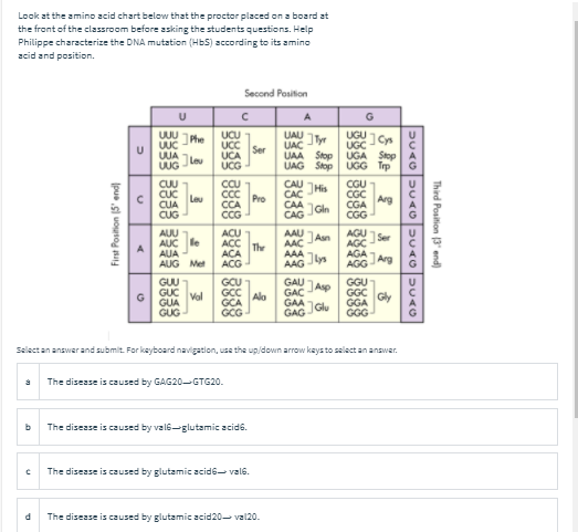 Solved HW13C. Situation for consideration: Protein structure | Chegg.com