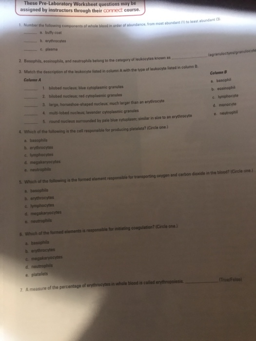 Solved Number The Following Components Of Whole Blood In Chegg