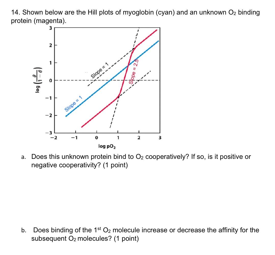 Solved 10. The E. coli nickelbinding protein binds to its
