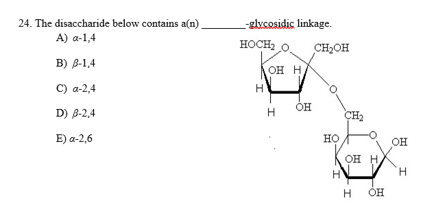 Solved 24. The disaccharide below contains a(n) glycosidic | Chegg.com