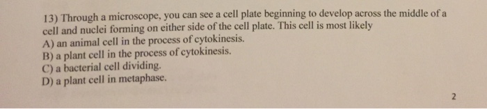 Solved 13) Through a microscope, you can see a cell plate | Chegg.com