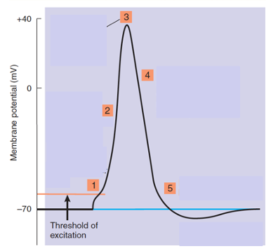 Solved In the graph below, the numbers represent the opening | Chegg.com