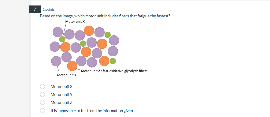 Solved 7 2 points Based on the image, which motor unit | Chegg.com