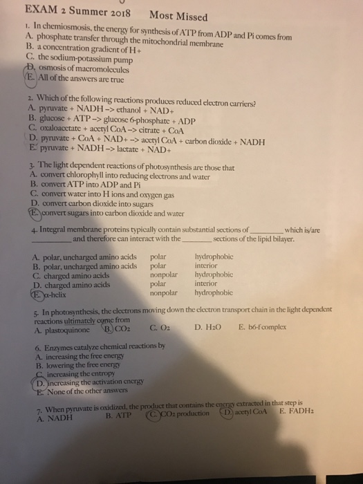 Solved EXAM 2 Summer 2018 Most Missed . In chemiosmosis, the | Chegg.com