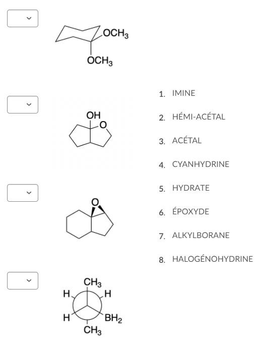 Solved Match the structure with the name of the functional | Chegg.com