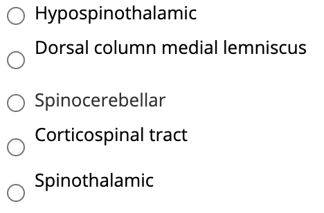 syringomyelia spinal cord