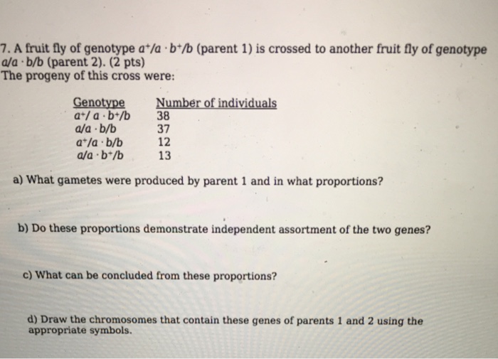 Solved 7. A Fruit Fly Of Genotype At/a B+/b (parent 1) Is | Chegg.com