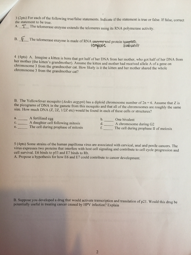 help me with biology homework