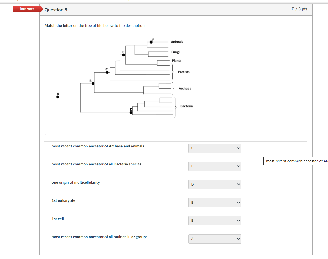 Solved Partial Question 3 0.5 / 3 pts For each of the | Chegg.com